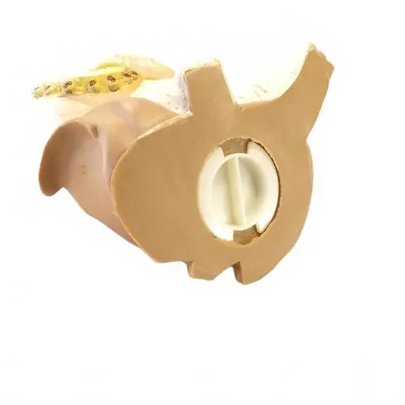 Vintage 1983 Star Wars Ewoks Princess Kneesaa Vinyl Coin Bank Original Stopper Office